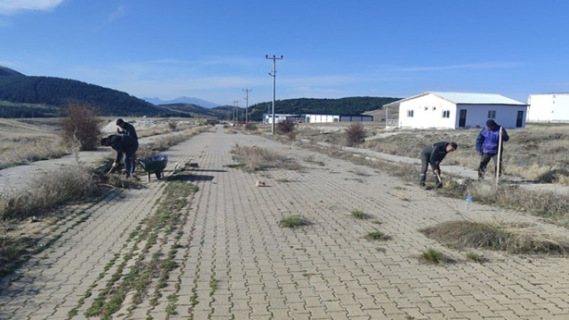Derviş Aynacı: 