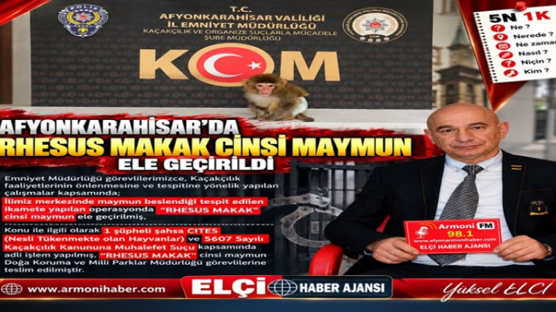 Afyon'da 'Rhesus Makak' Cinsi Maymun Ele Geçirildi   